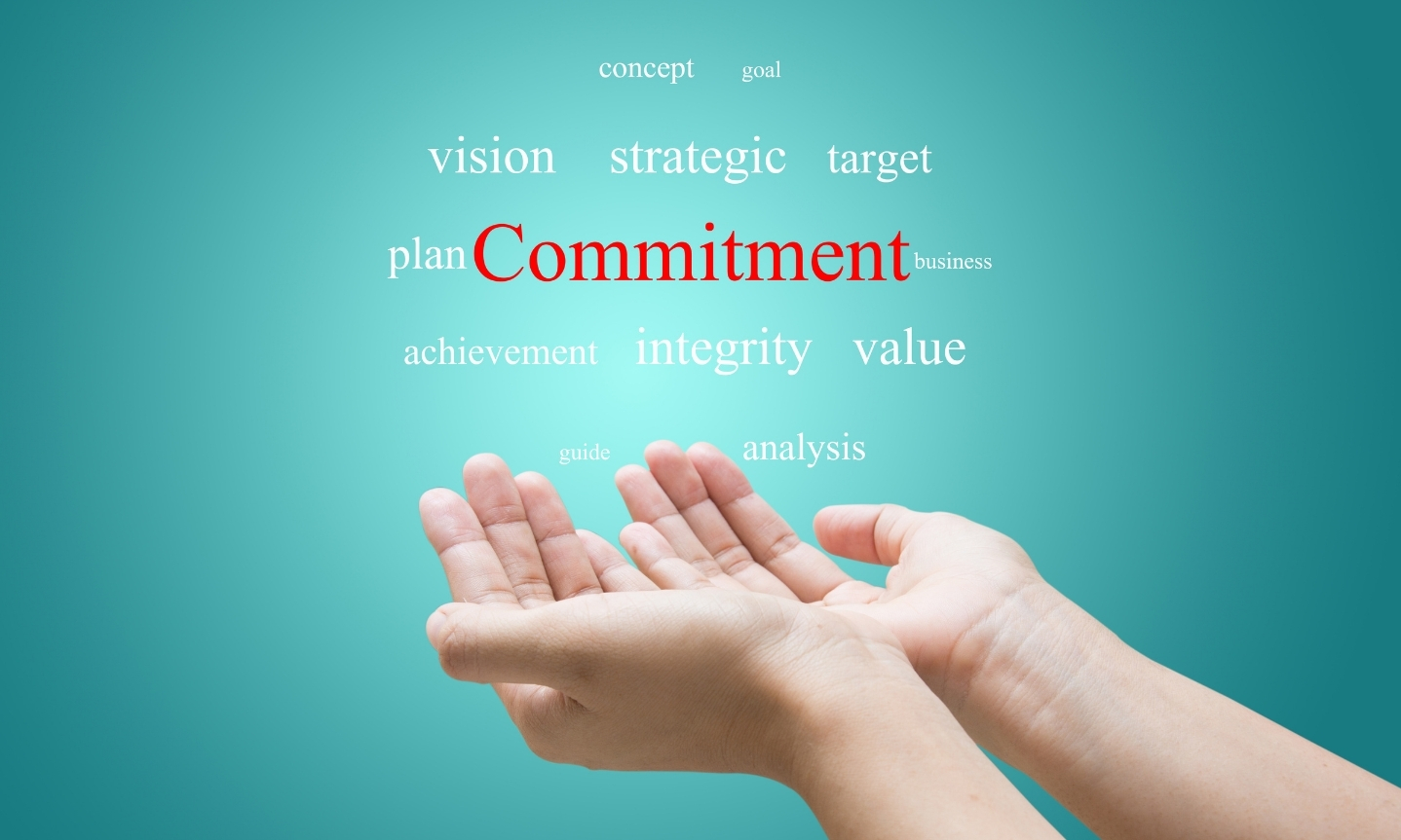 Our Commitment